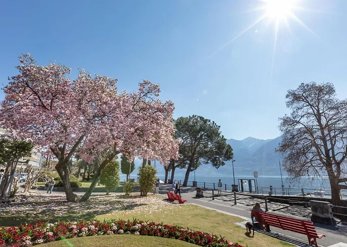 Apartamento Junior Classic - Isole Di Brissago By Interhome